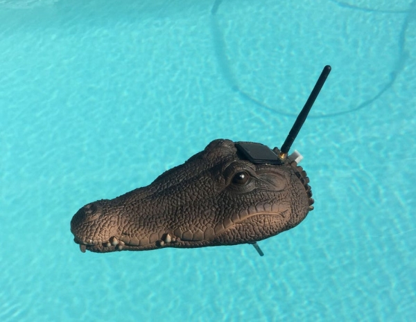 Crocodile Solar Pool Sensor