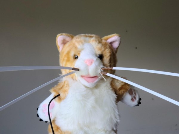 a Cat With Whiskers Sensory Extension Puppet