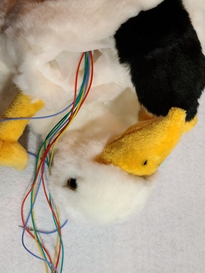 Embedding GMR Sensors Into the Puppets Beak